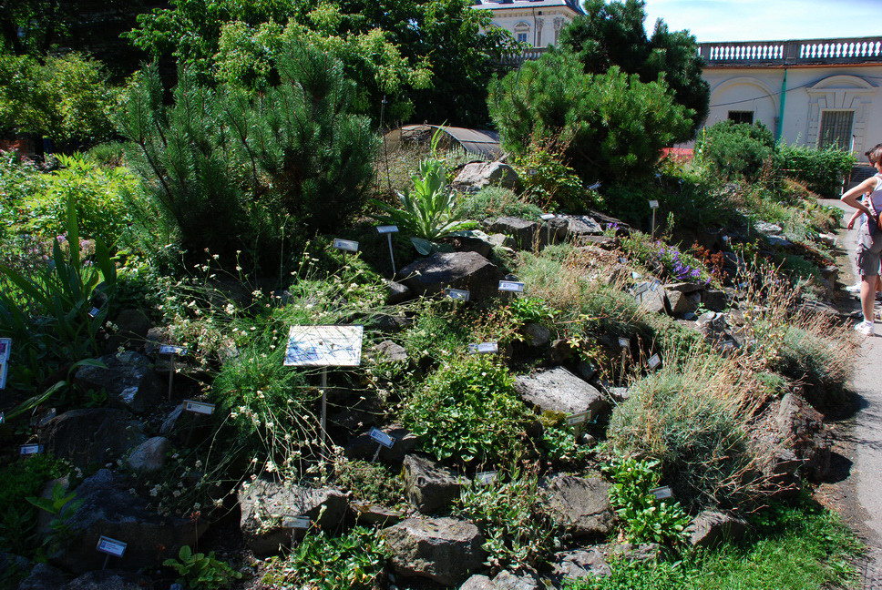 Orto Botanico_124.JPG